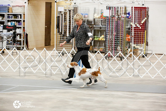 _JN_0146-AblnMay2014-web
