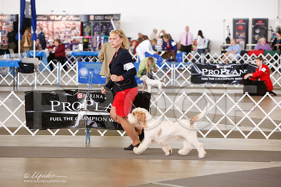 _JJ_7641-DallasJul2014-HR3