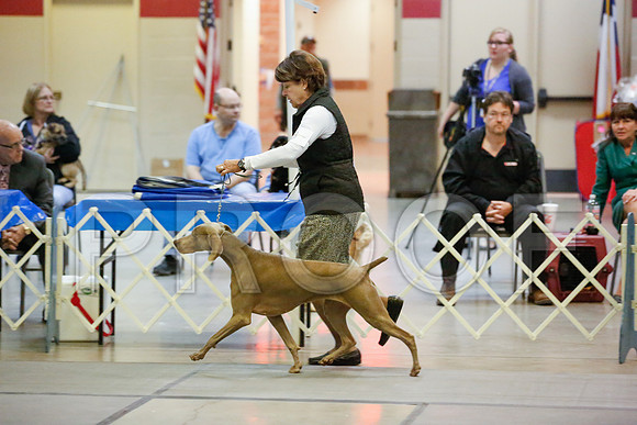 _JJ_9372-AmarilloSept2014-HR3