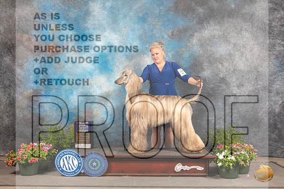 Afghan Hound #20 Sat BOBBOW Judge Michael Canalizo_MJ_1262_SA_2022_HR3