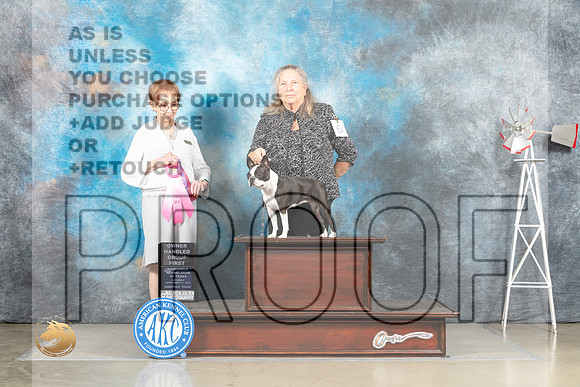 Boston Terrier #6 Sat OHG1 Judge Sharon Derrick_MJ_4602_Amarillo_2022_HR3