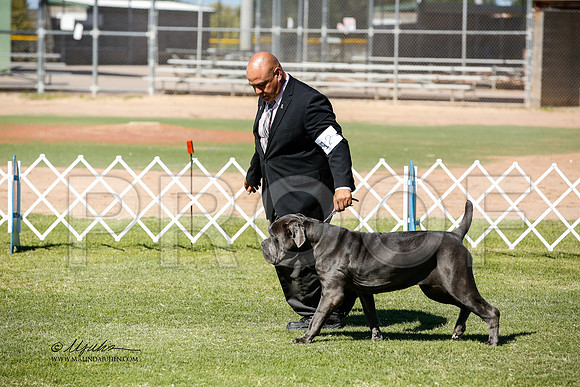 _JN_0728-AlamogordoOct2014-HR3