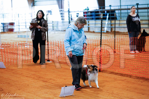 _RH_4323-MarshDec2014-HR