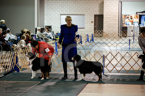 _JN_6380-ASCACollegeStationNov2014-HR3