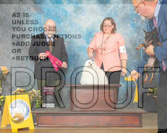 Maltese #5 Sun G2 Judge Ray Filburn-MMJ_1868-NWARK2022-HR3