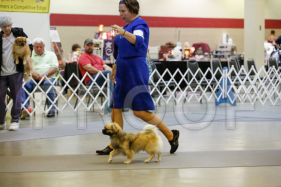 _JJ_0101-AmarilloSept2014-HR3