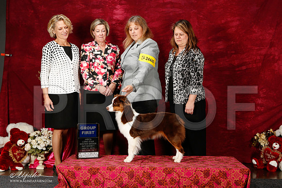 _ST_2681-2-BeltonJan2015IABCA-HR3