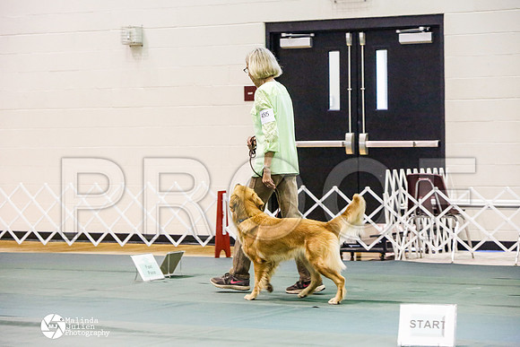 _JJ_3917-BsrCtyJun2014-HR3