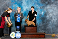 Norfolk #6 Sun G1 Judge Edy Blum