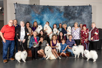 American Eskimo Group