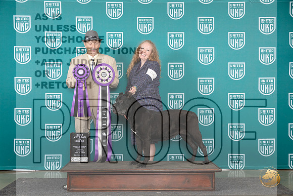 Cane Corso #112 Wed VB Judge Joseph Gudry__JP_0465_Premier_2024_HR3