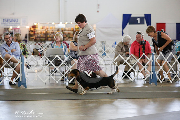 _JJ_2924-DallasJul2014-HR3