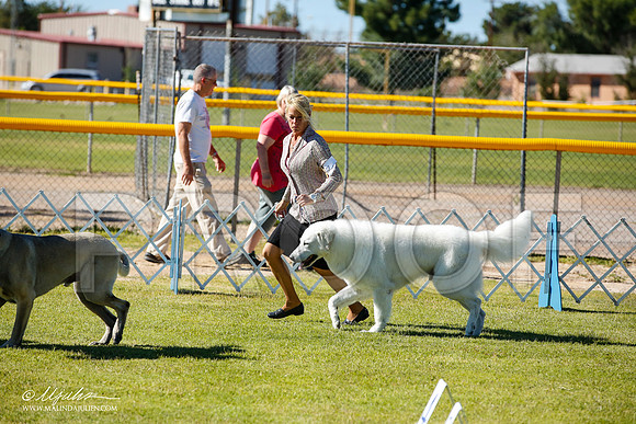 _JN_7471-AlamogordoOct2014-HR3