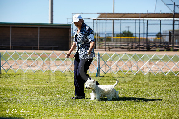 _JN_4599-AlamogordoOct2014-HR3