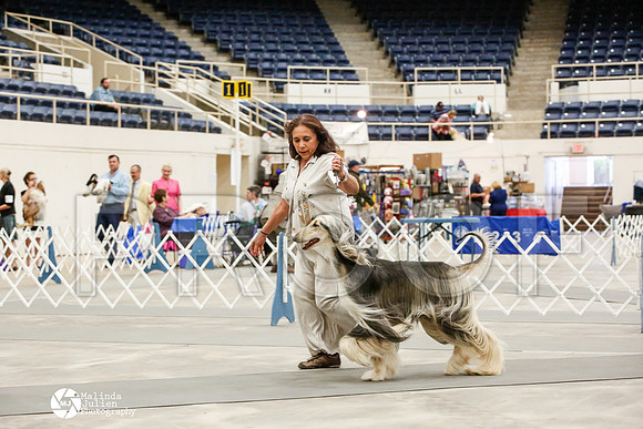 _JJ_0012-AblnMay2014-web