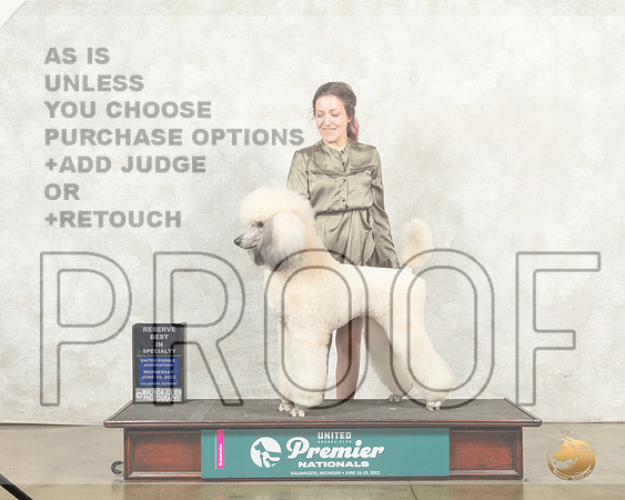 Poodle Std MC #? Wed RBISS Judge Sharon Griffin__MJ_9096_Premier_2022_HR3