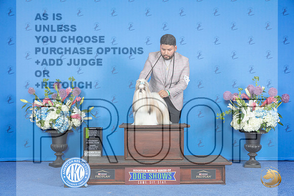 Shi Tzu #5 SUN OHRBIS Judge __JP_0975_Houston_2024_HR3