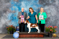 Brittany #21 Sat BISS Judge Robert E Stein