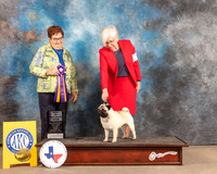 Pug #21 Fri BISS Judge Pam Peat