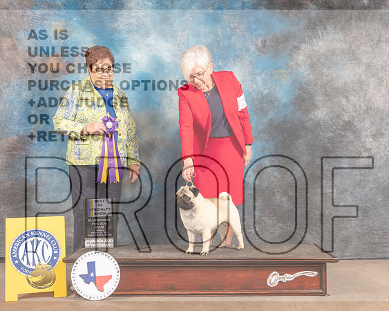 Pug #21 Fri BISS Judge Pam Peat-MMJ_7084-FW2022-HR3