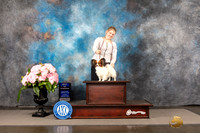 Papillon #7 Sun WDBOW Judge Barbara Alderman