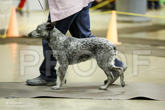 _JJ_6088-BeltonJan2015IABCA-HR3
