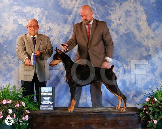 dobe-5094-HstnMar2014-HR3
