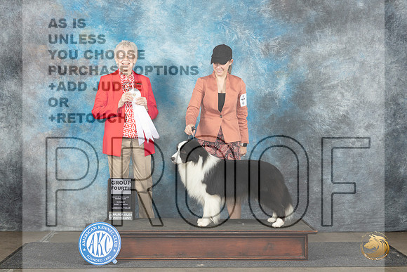 Border Collie #5 Sun G4 Judge Sharon Newcomb__JP_3989_Lubbock_2024_HR3