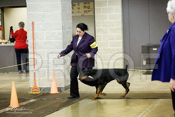 _RH_1577-BeltonJan2015IABCA-HR3