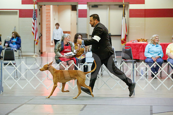 _JJ_3103-AmarilloSept2014-HR3