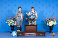 Border Terrier #16 SAT WB BOS M Judge Ann Yuhasz