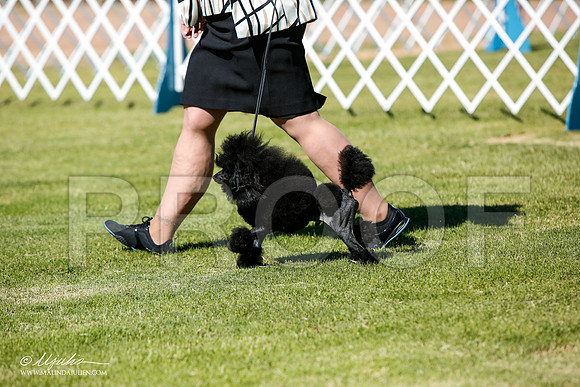 _JJ_4640-AlamogordoOct2014-HR3
