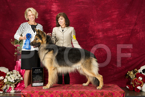 _ST_2701-BeltonJan2015IABCA-HR3