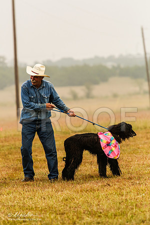 _MJ_2870-AfgBeltonOct2014-HR3