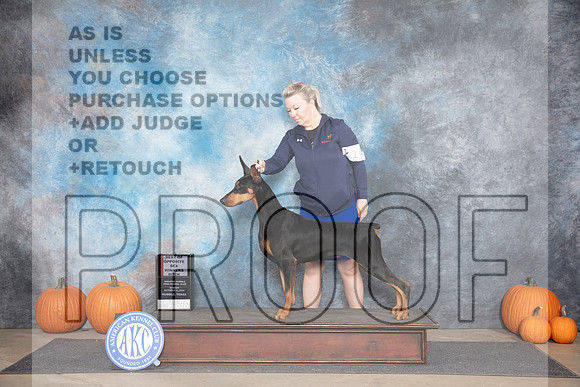 Doberman Pinscher #14 WBBOS Judge Hal Biermann__JP_9235_Humble_2024_HR3