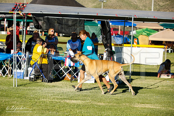 _JN_0120-AlamogordoOct2014-HR3