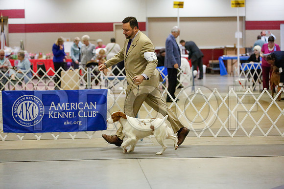 _JJ_6915-AmarilloSept2014-HR3