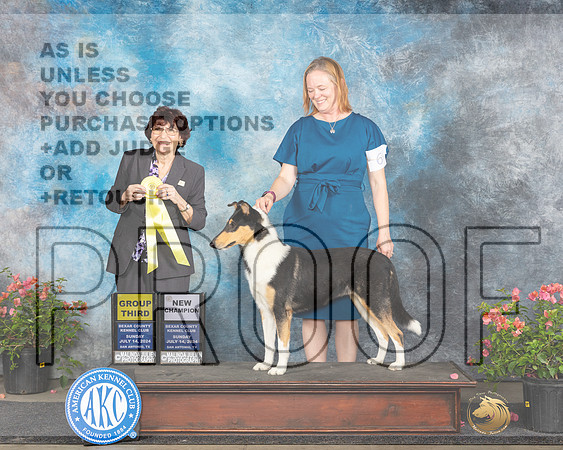 Collie Smooth #6 Sun G3CH Judge Wendy G Willhauck_JP_6288e_San Antonio_2024-HR3