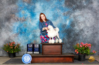 Poodle Miniature #18 Sat WBBOWBOV Judge Karen McFarlane