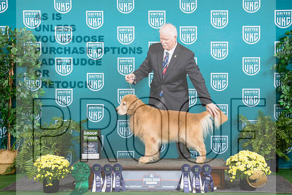 Golden Retriever #137 Sat G3__JP_2717_UKCTDI2024_HR3