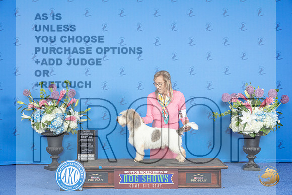 PBGV # FRI BOW NC Judge Debbie Freeman__JP_9058_Houston_2024_HR3