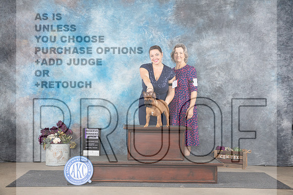 French Bulldog #20 Sat RWB Judge Sulie Greendale-Paveza__JP_6981_Belton_2024_HR3