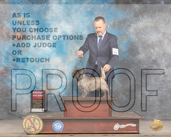 Cairn Terrier #6 Fri G2 Judge Brad JenkinsMMJ_3545_Mdlnd2022_HR3