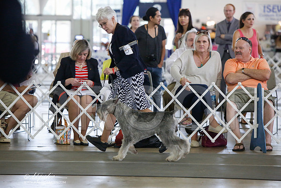 _JJ_1944-DallasJul2014-HR3