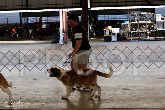 StB-0015-CntnOct13-HR
