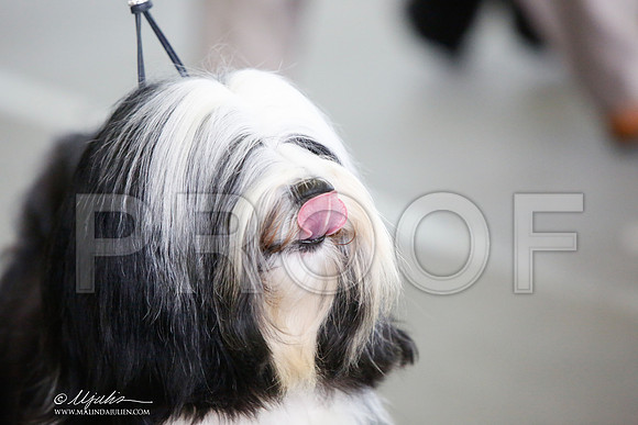 _JJ_0524-DallasJul2014-HR3
