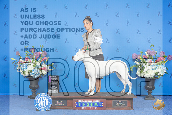 Dogo Argentino #16 SUN OHG1 Judge Douglas Johnson__JP_0852_Houston_2024_HR3