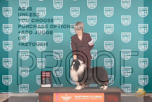 Shetland Sheepdog #256 Sat G2 Judge Larry Hansen__JP_2015_UKCEastern_2024_HR3