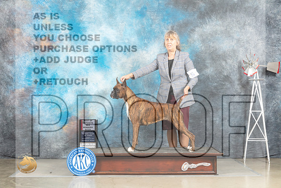 Boxer #6 Fri WBBOS Judge Sharon Derrick_MJ_4146_Amarillo_2022_HR3