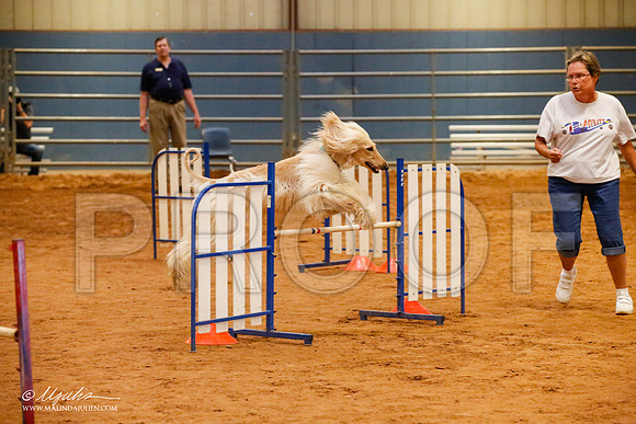 _JJ_5812-AfgBeltonOct2014-HR3